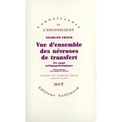 Vue d'ensemble des névroses de transfert - Un essai métapsychologique