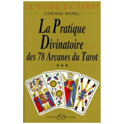 Le Guide Du Tarot - Tome 3